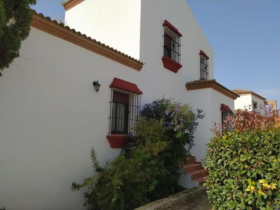 Agradable Casa Con Piscina En La Serrania. アリアテ エクステリア 写真