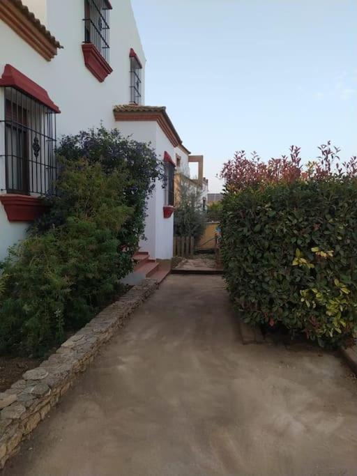 Agradable Casa Con Piscina En La Serrania. アリアテ エクステリア 写真